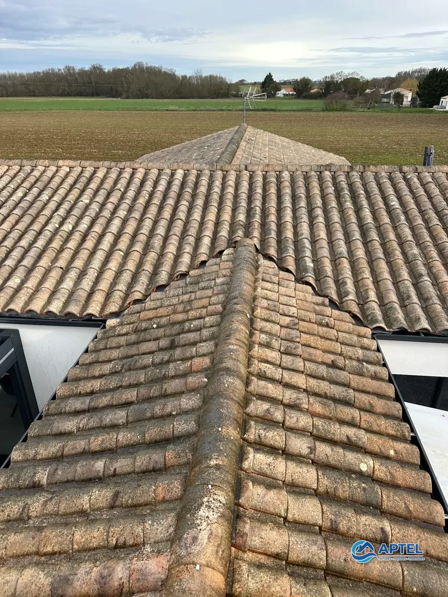 Toiture couverte de mousse avant démoussage professionnel à Rochefort