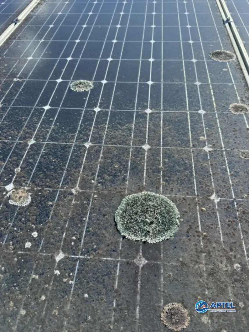 Panneaux solaires envahis par les lichens et dépôts avant nettoyage à Plassay