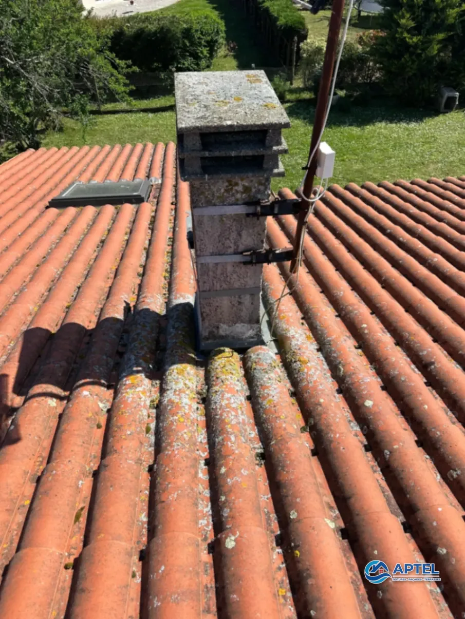 Toiture autour de cheminée envahie par lichens jaunes avant nettoyage à Saint-Agnant